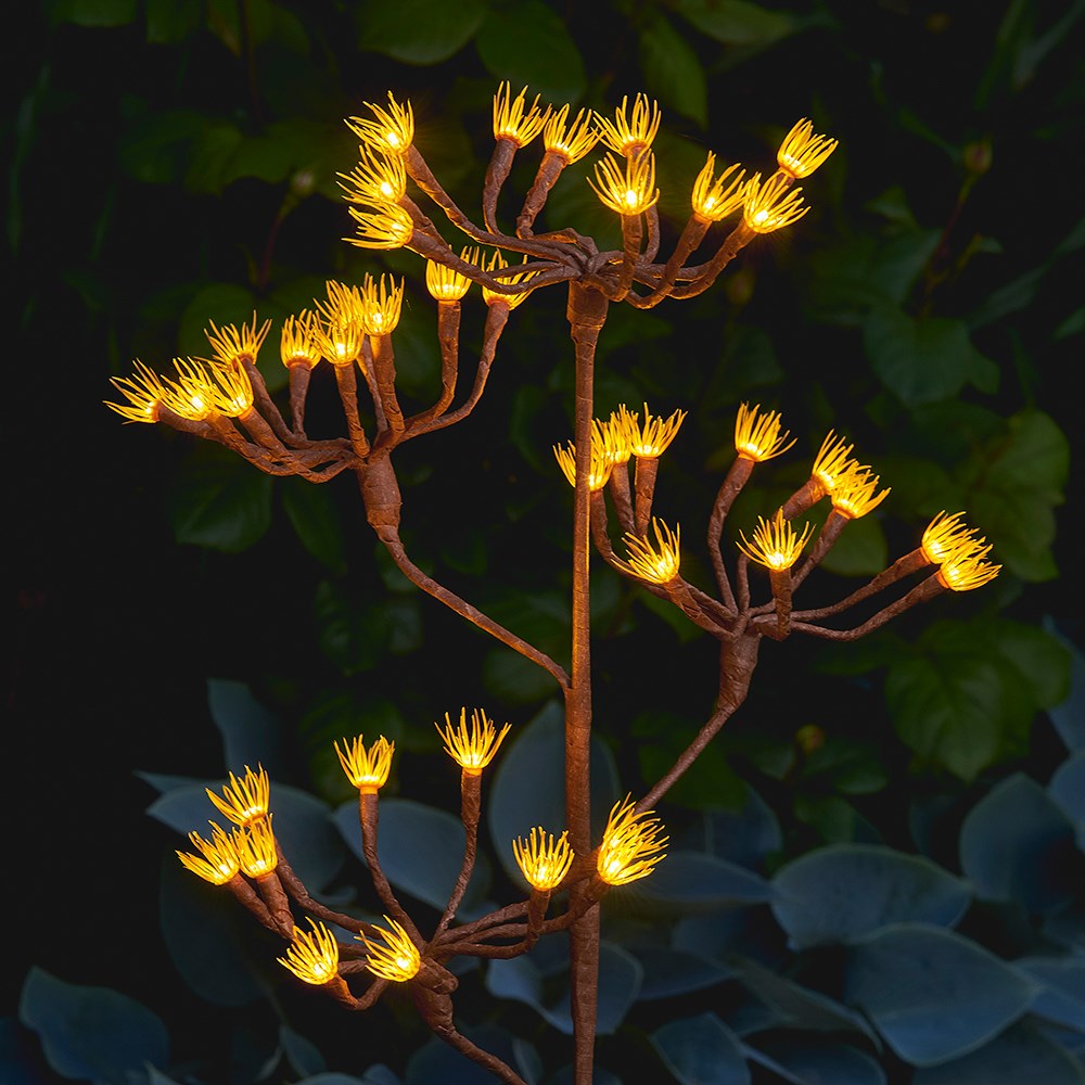 Solar wild fennel branch light