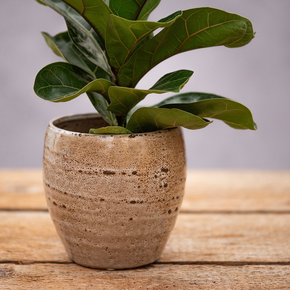 Mottled stone round plant pot - ivory