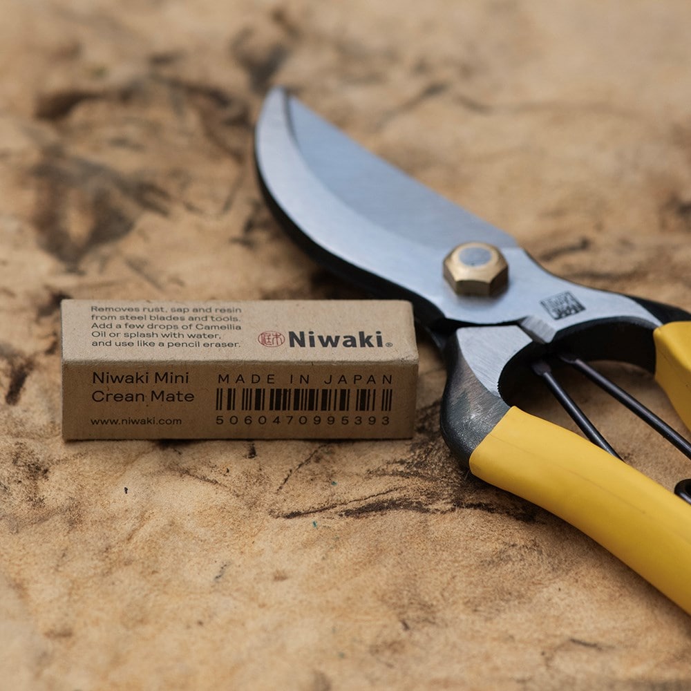 Product options image