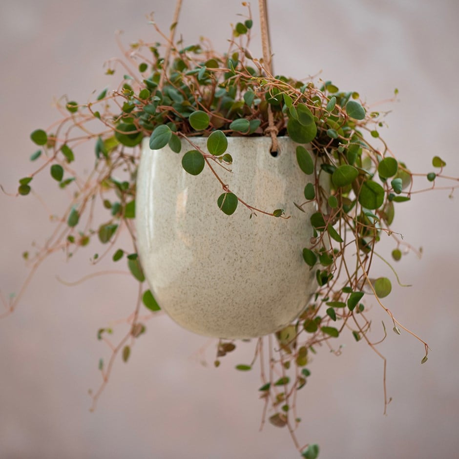 Hanging speckled glaze plant pot - cream