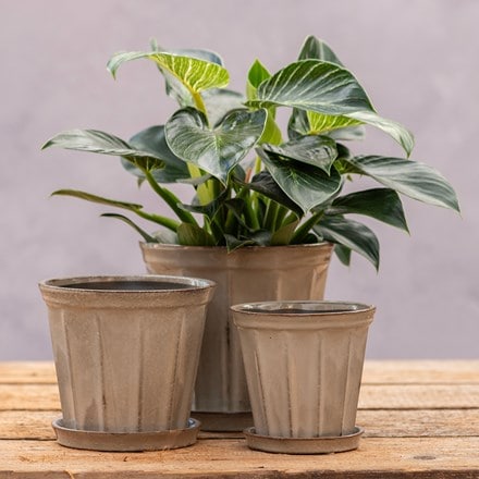 Ribbed plant pot & saucer set of 3 - light grey