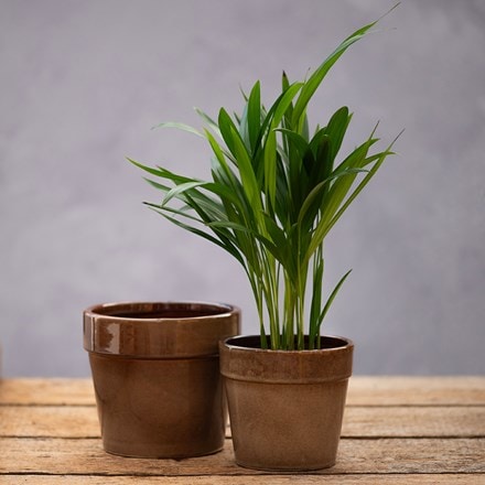 Reactive glaze wide rim plant pot set of 2 - light brown