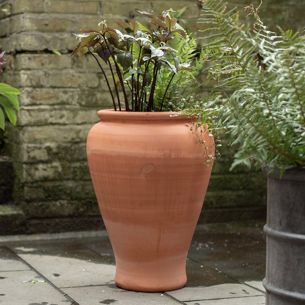 Product options image