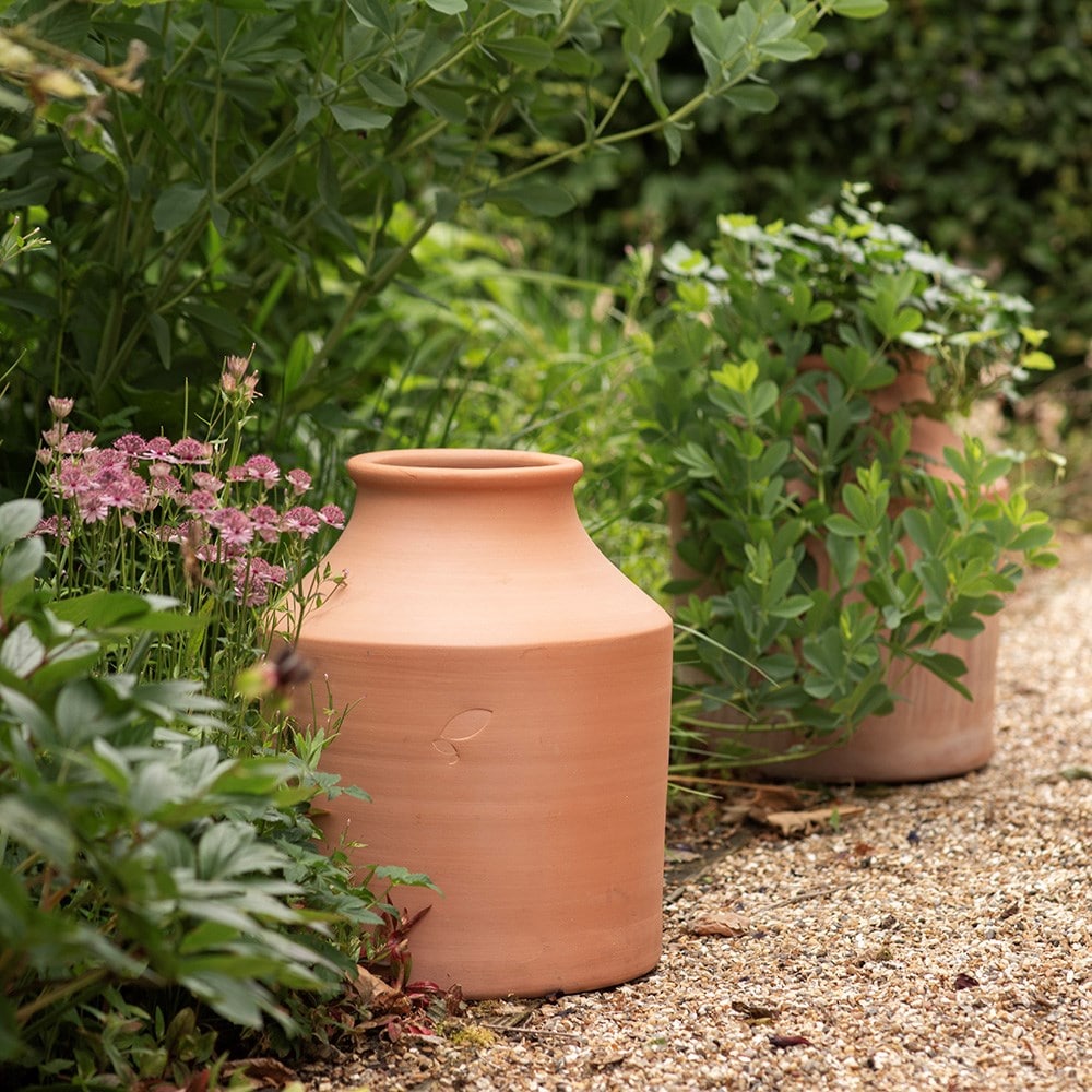 Terracotta evergreen ivy vase