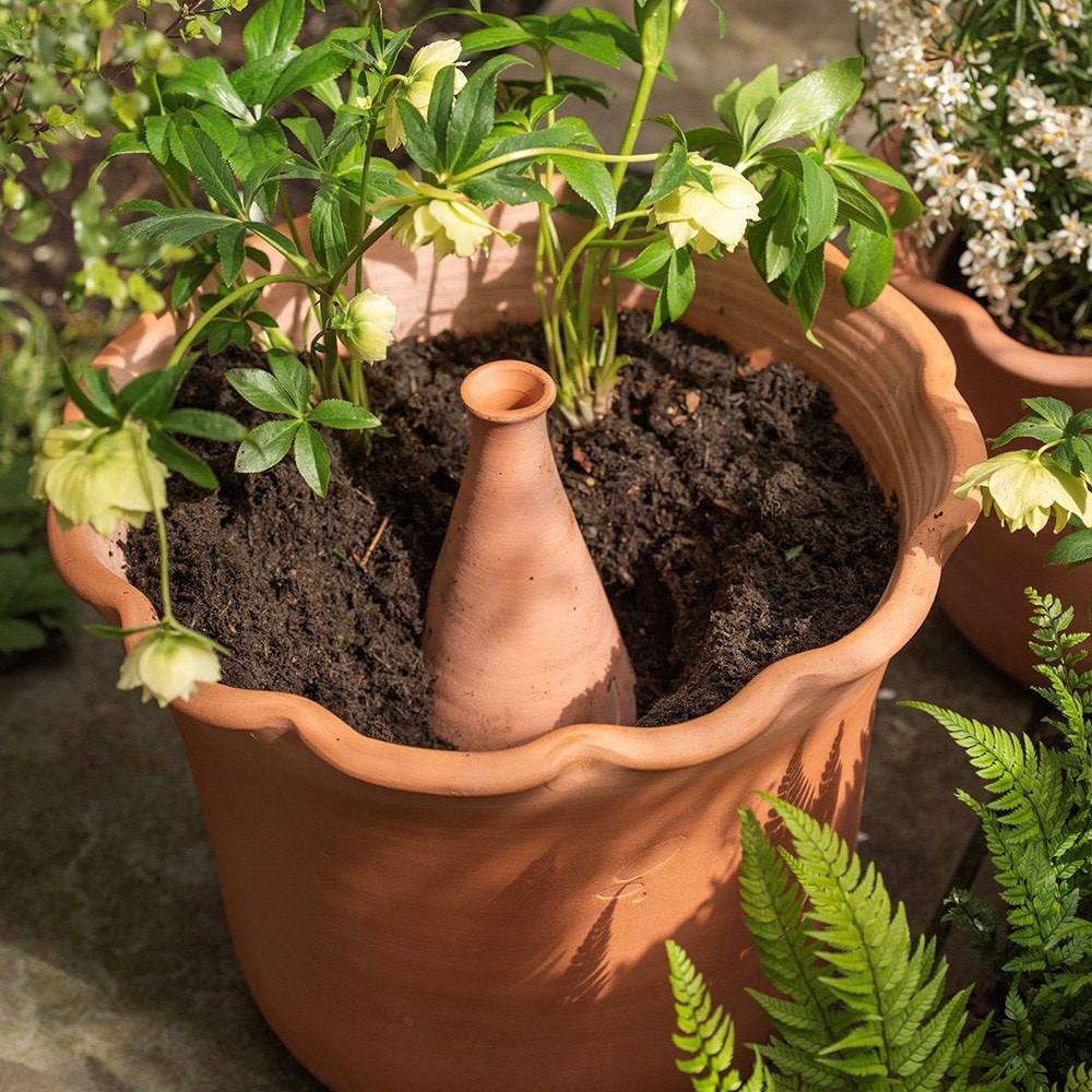 Product options image