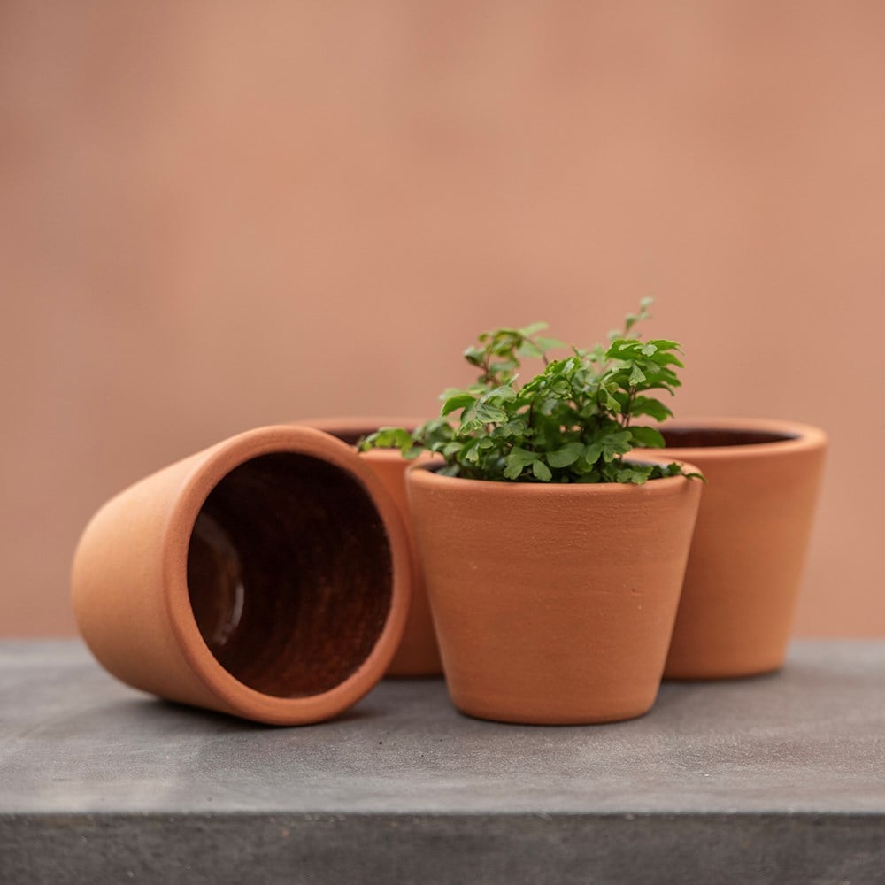 Terracotta pot - glazed inside
