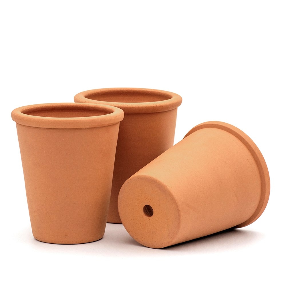 Rimmed terracotta grow pots - set of 3