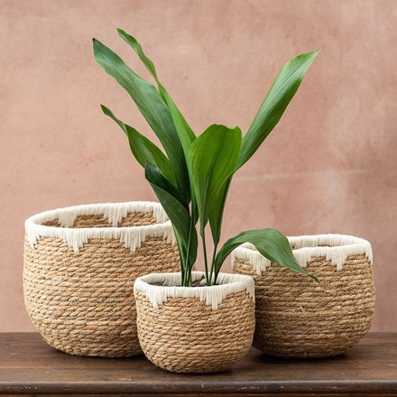 Woven grass planter set of 3 - natural
