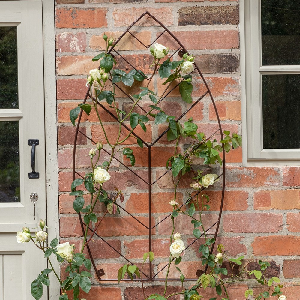 Metal leaf trellis - 2 colours