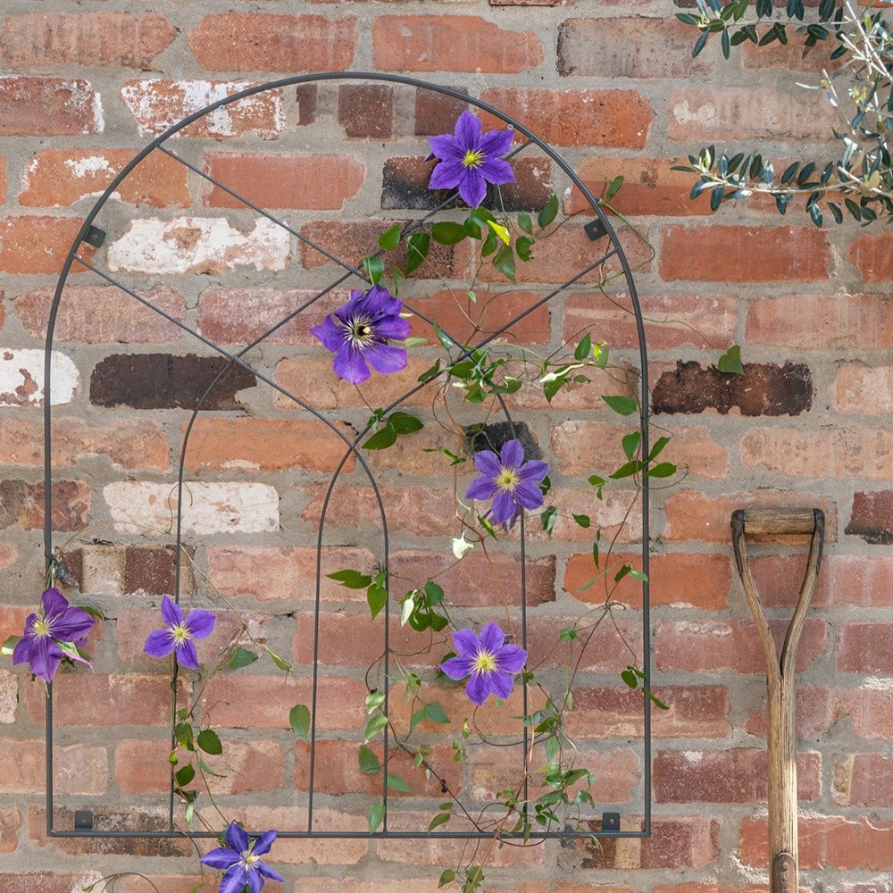Metal decorative arch trellis - 2 colours