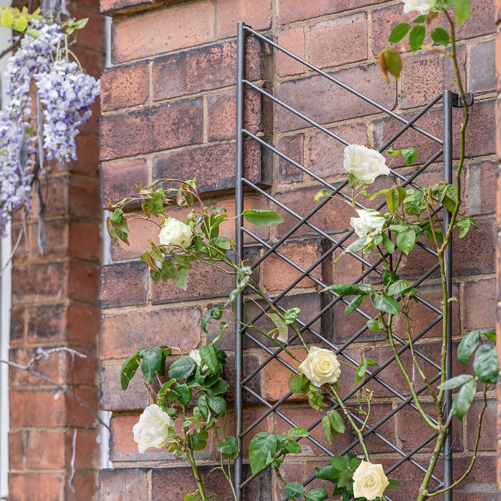 Metal linear trellis - 2 colours