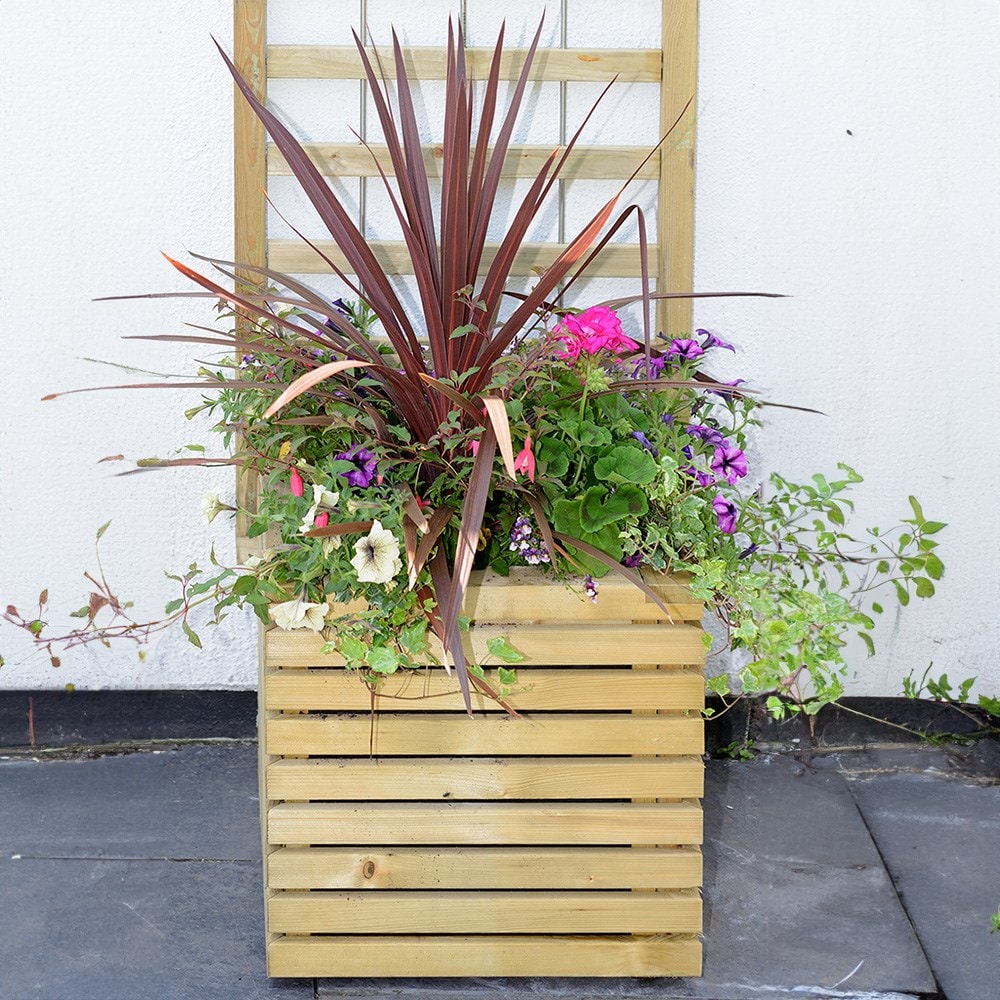 Product options image