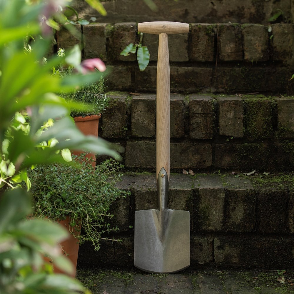 Product options image