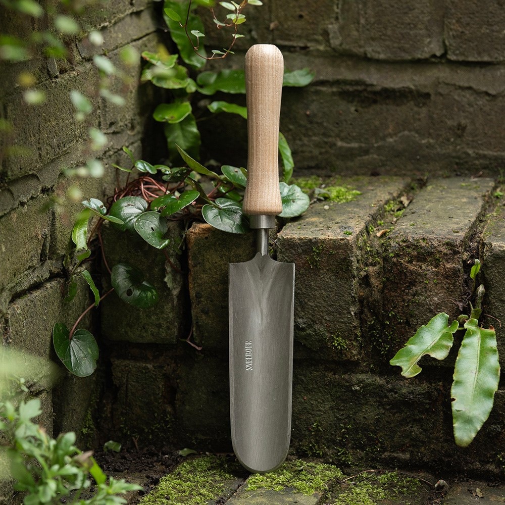 Product options image