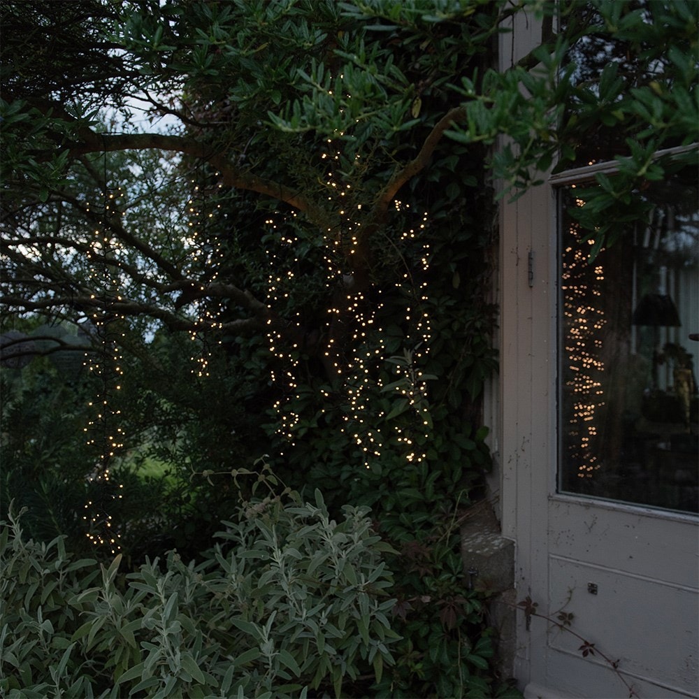 Hanging vine lights