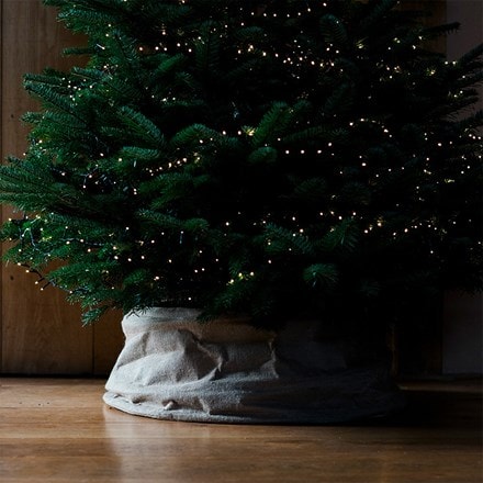 Jute tree ring