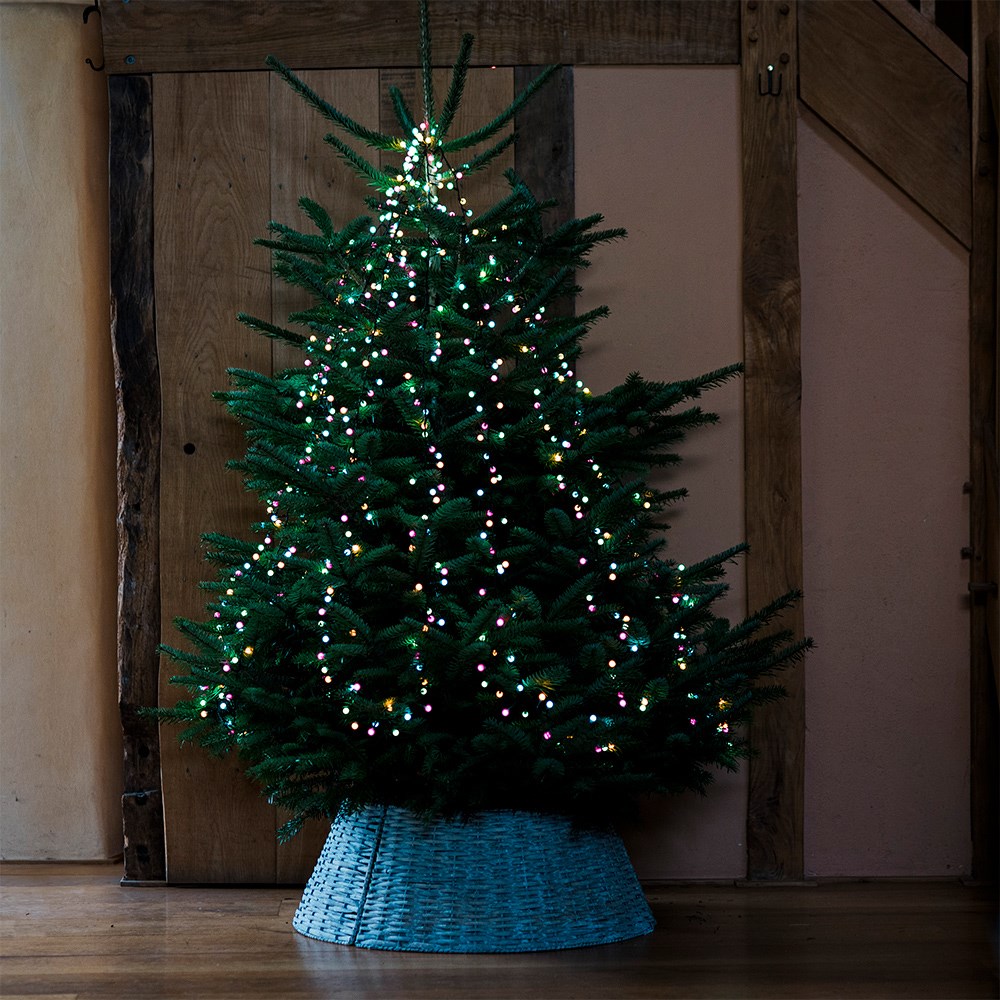 Soft pastel LED cherry lights