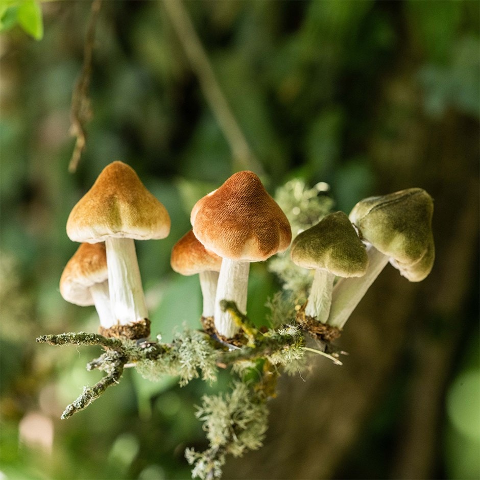 Mushroom clips - set of 3