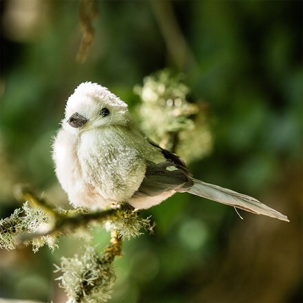 Chubby birds - set of 2