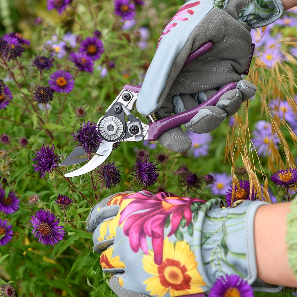 RHS Burgon and Ball pruner and holster gift set floral print - asteraceae