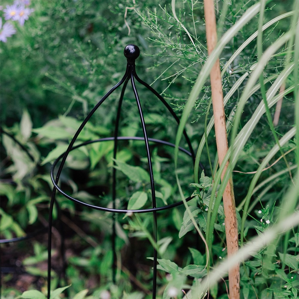 Ball top dome plant support - black