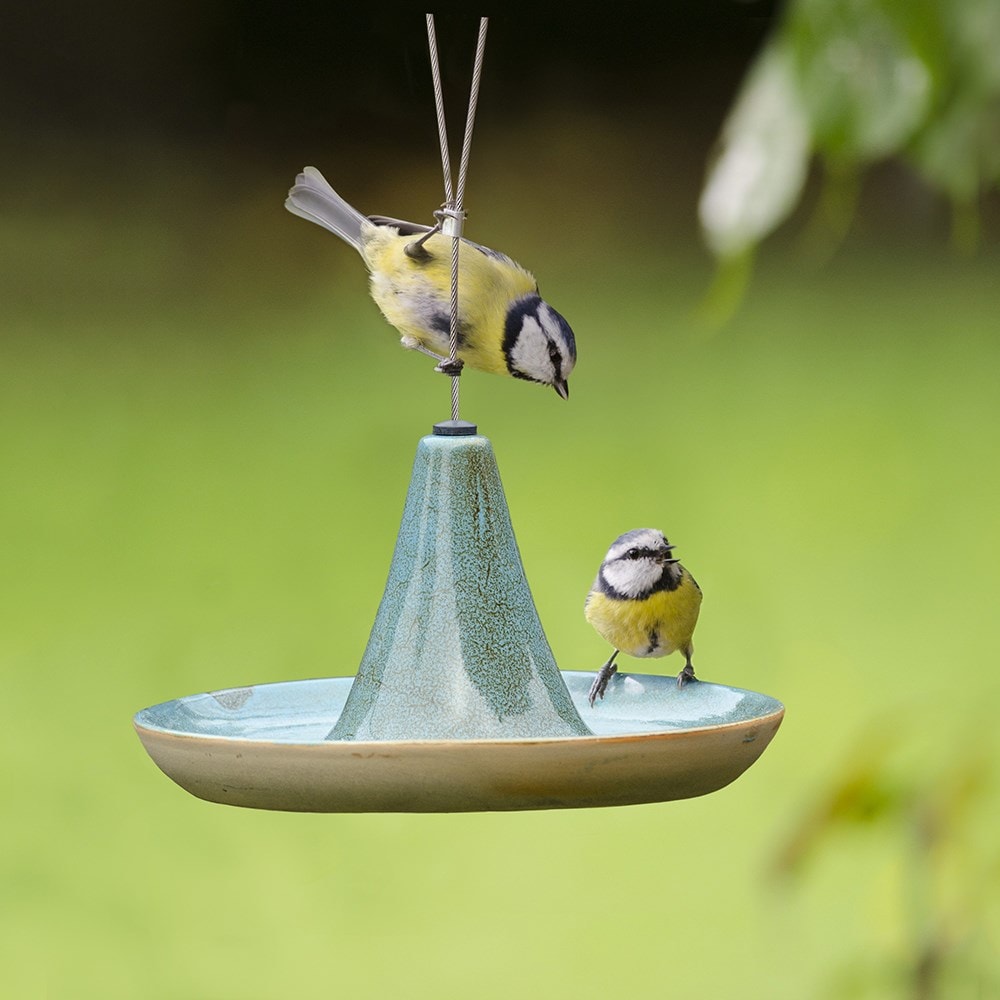 Buy Ceramic hanging bird water feed dish green Delivery by Crocus