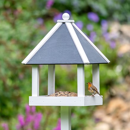 Buy Bird feeders: Delivery by Waitrose Garden