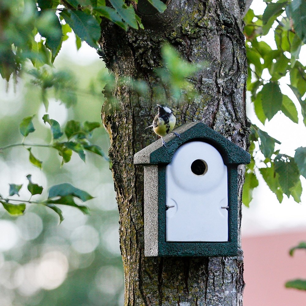 Product options image