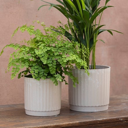 Rustic lightweight plant pot set of 2 - ivory