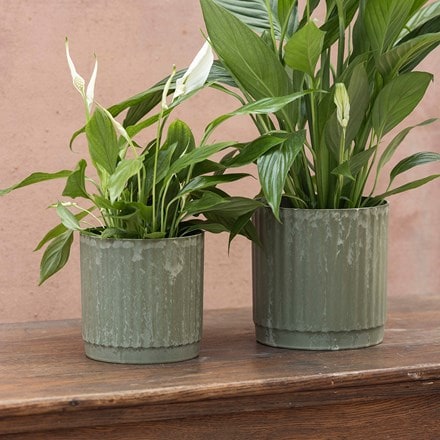 Rustic lightweight plant pot set of 2 - green