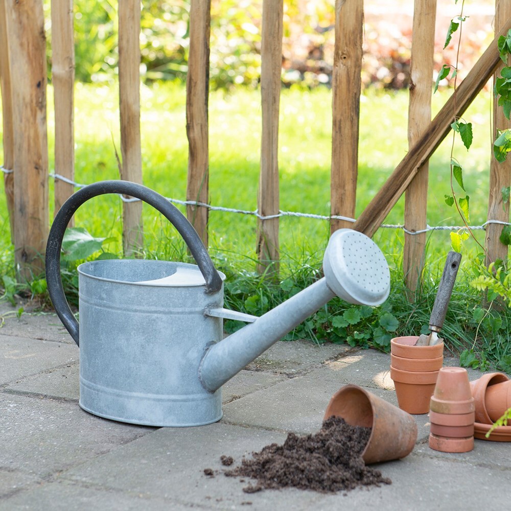 Buy Galvanised Steel Watering Can : Delivery By Crocus