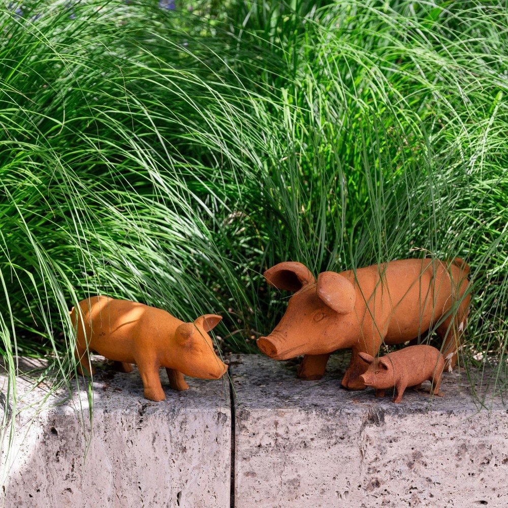 Product options image