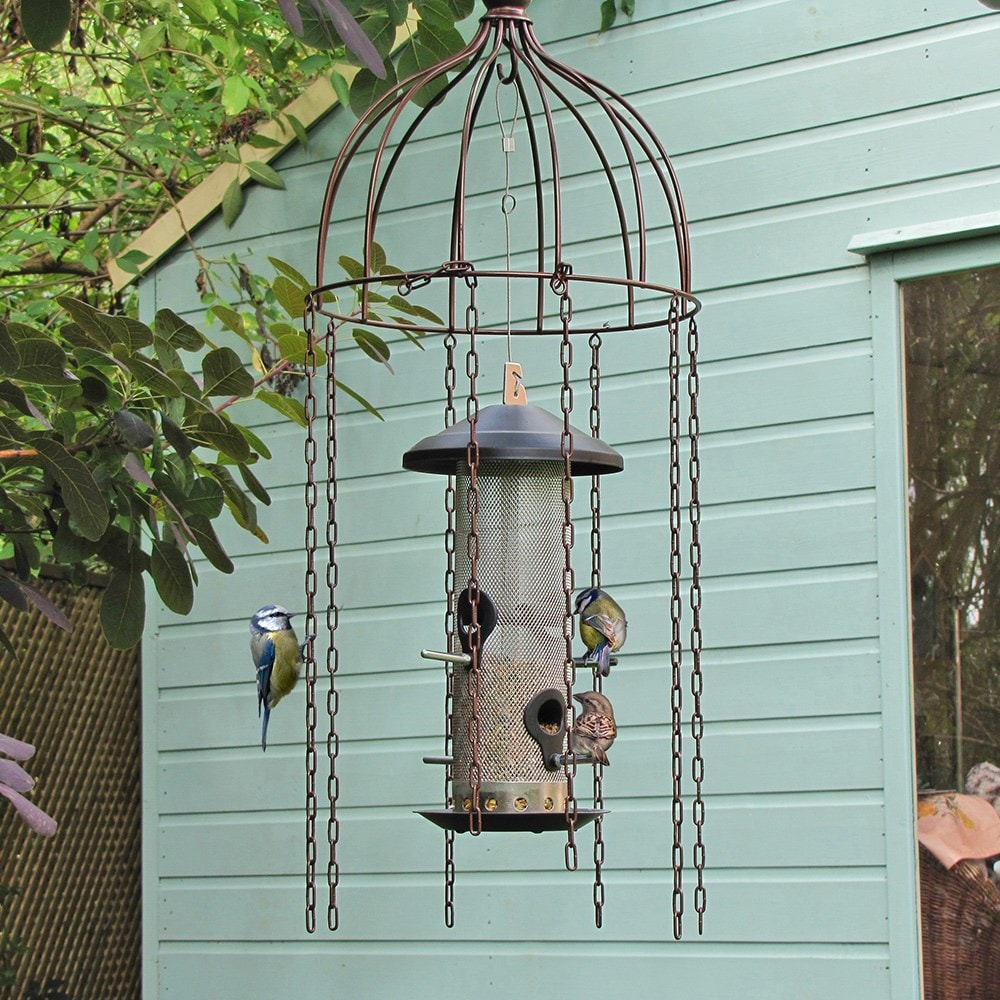 Simon King large bird defender feeder