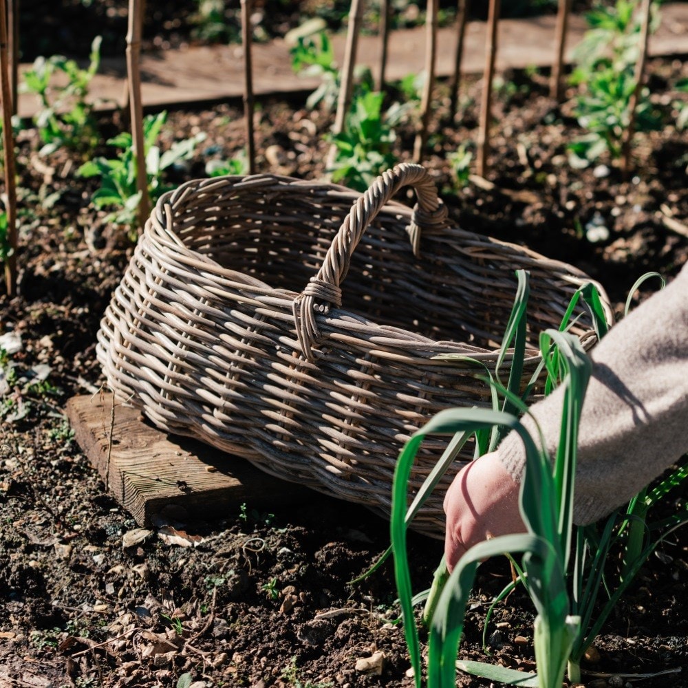 Foraging trug basket