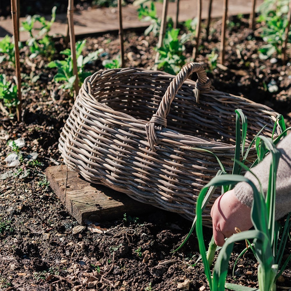 Foraging trug basket