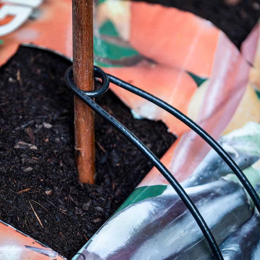 Peat free planter growbag