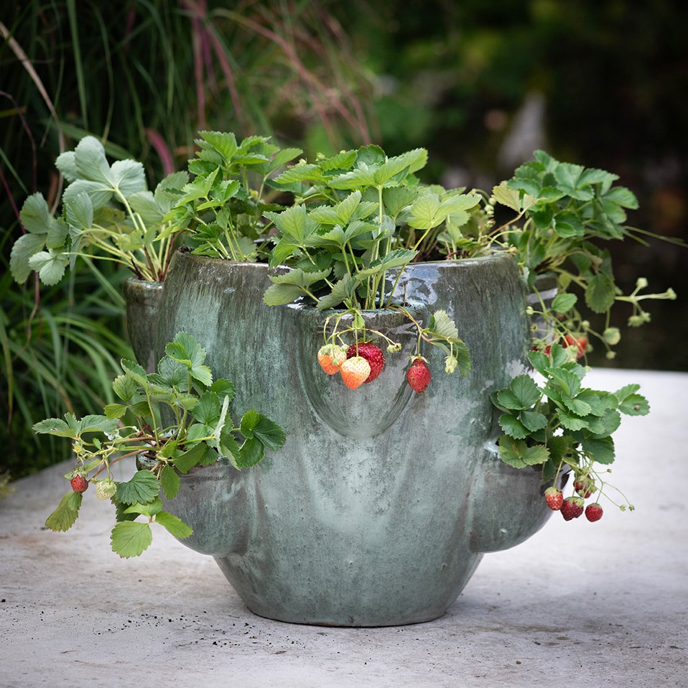 Product options image