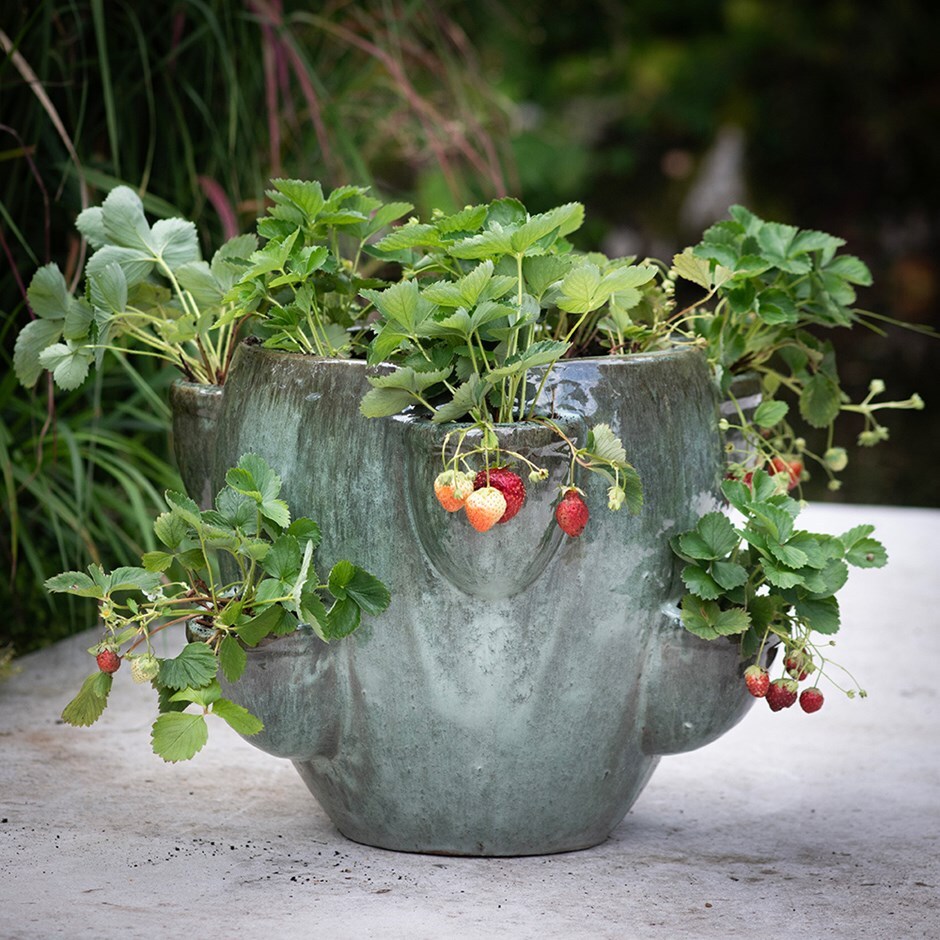 Strawberry planter - misty green