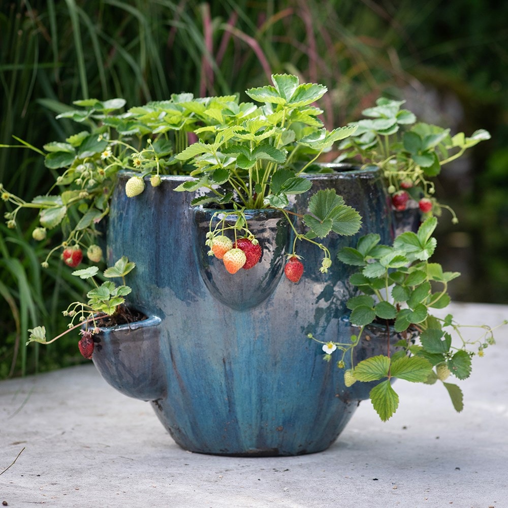 Product options image