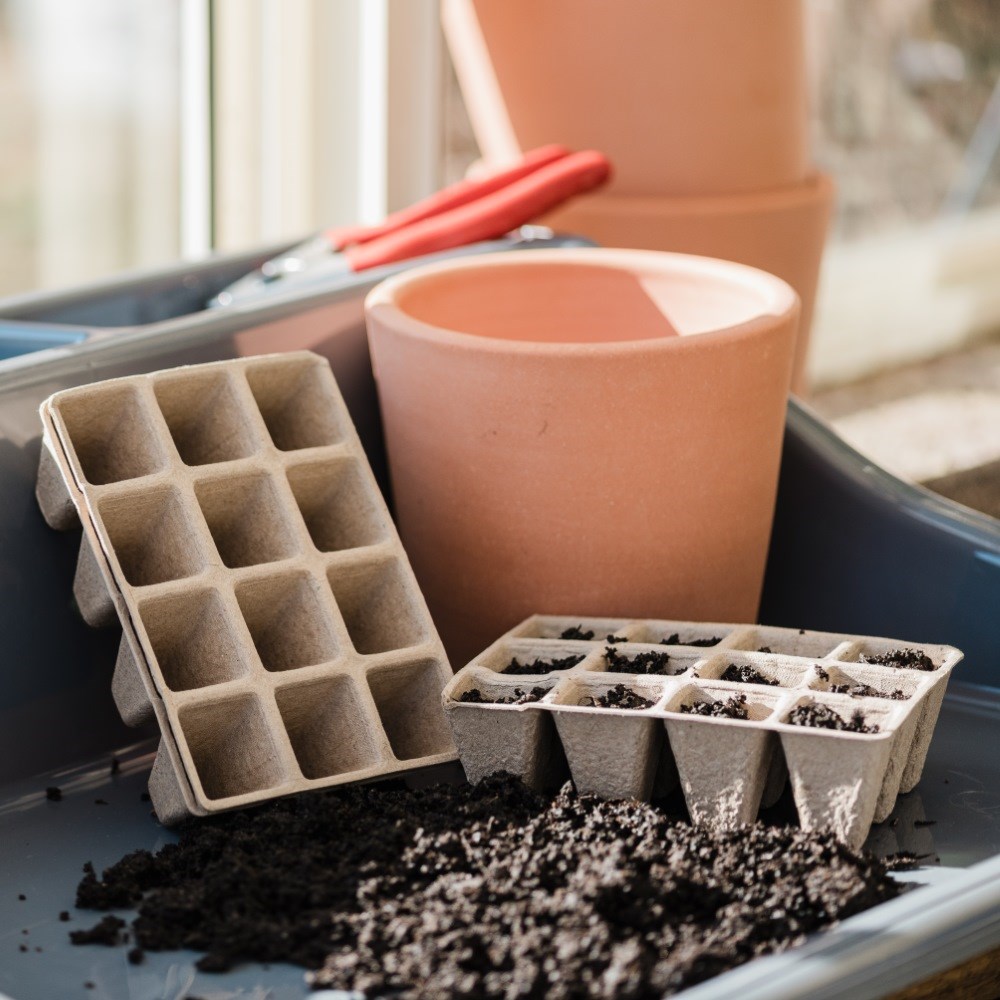 Fibre seed tray - set of 3