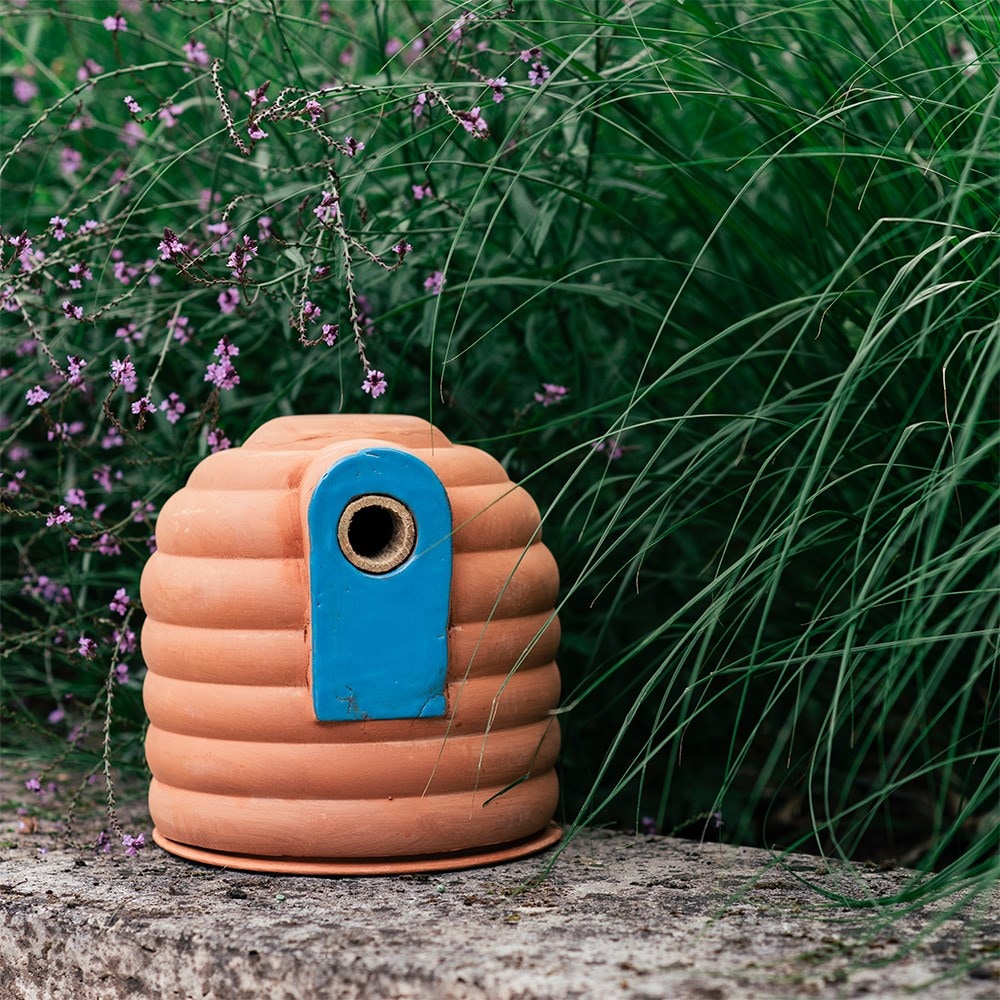 Product options image