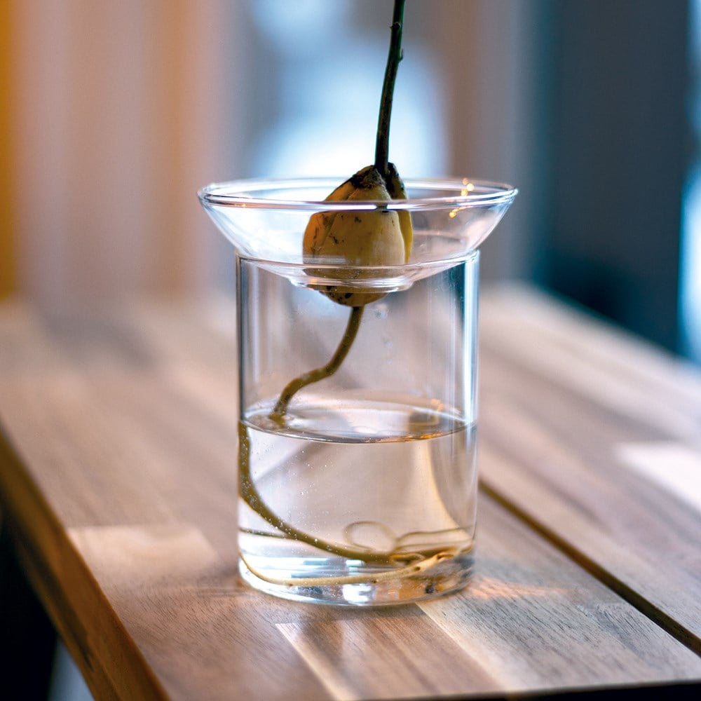 Product options image