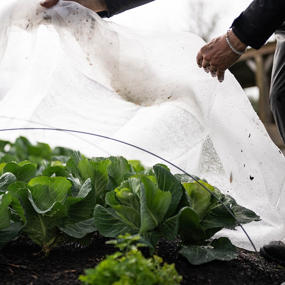 Steel rod hoops grow tunnel - 2.4m