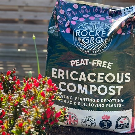RocketGro ericaceous compost