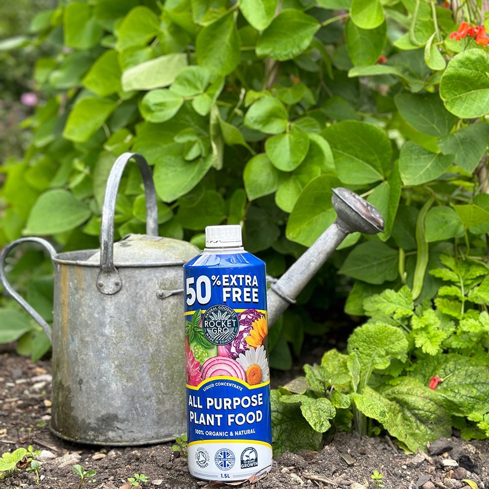 Organic all purpose liquid plant food 