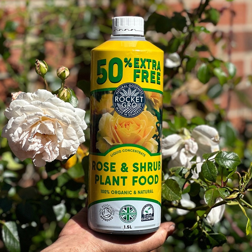 Product options image