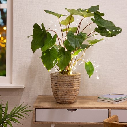 Indoor/outdoor plant light