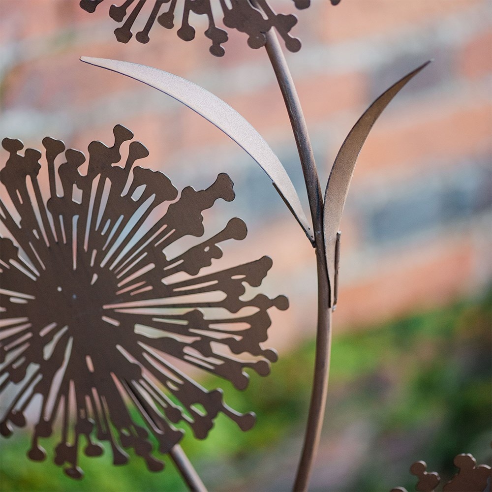 Allium trellis - rust