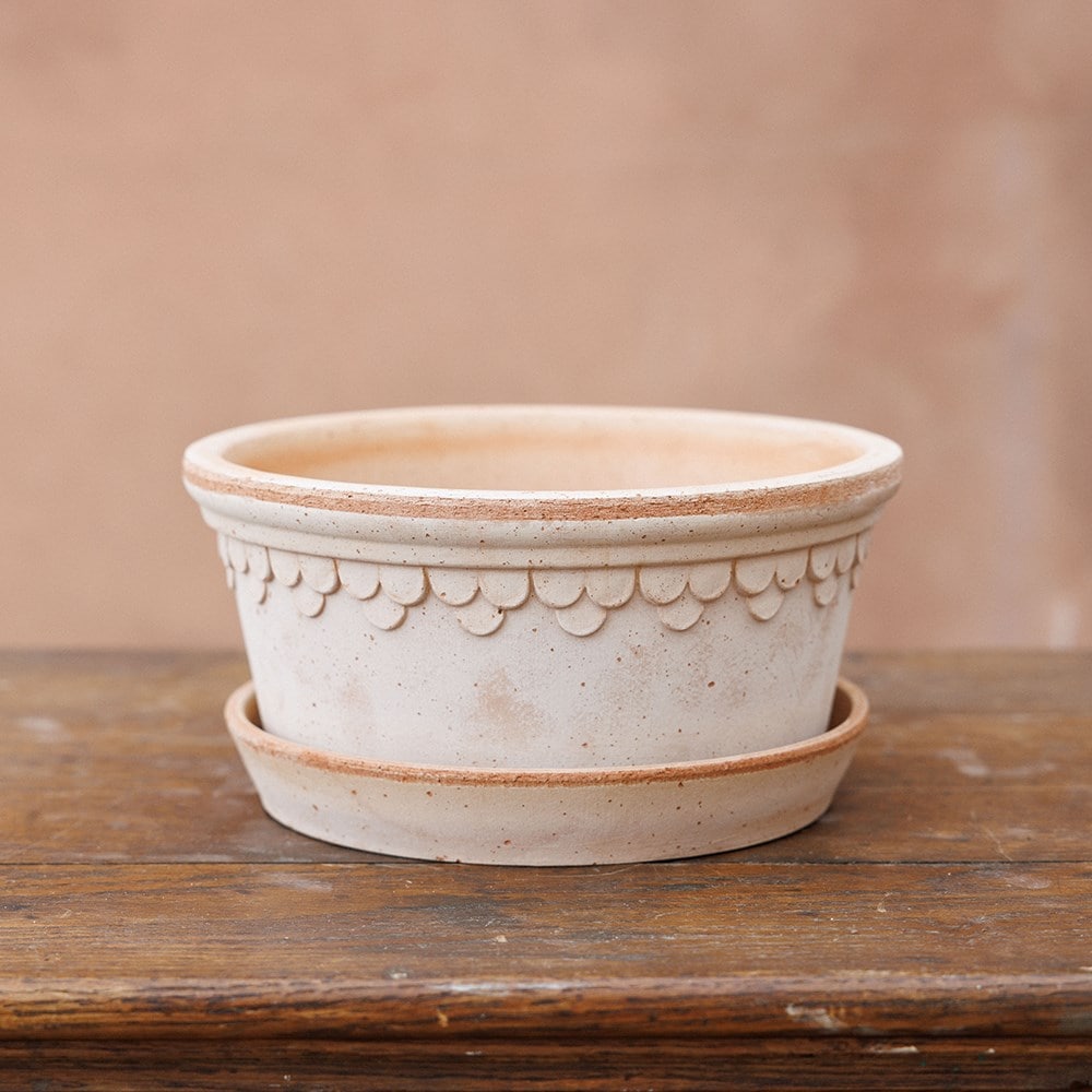 Bergs scalloped tapered plant pot & saucer - terracotta