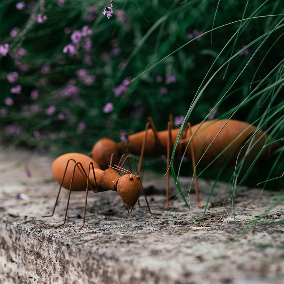 Rusted ant ornament